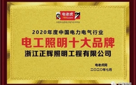 品牌榮譽(yù)！祝賀浙江正輝照明榮膺2020年“電工照明十大品牌”